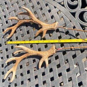New-Antler Resin Craft Sprigs